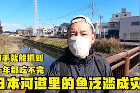 日本冬天河流枯竭，河里的鱼伸手就可以抓到，估计一年都吃不完！视频封面