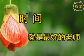 一念放下，万般自在，愿你历尽世事沧桑，不染岁月风尘，快意人生视频封面