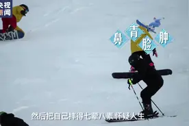 新手滑雪必备教程视频封面