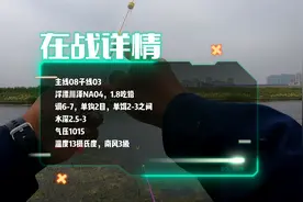 真实野钓鲫鱼高清漂相详细讲解，鲫鱼口及抓口，直播时录播2视频封面