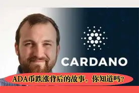 加密货币“ADA”的幕后故事！名字源于贵族？与以太坊也有关？视频封面