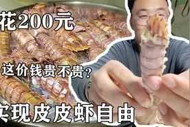 花200元实现皮皮虾自由，满满一锅，个大带籽，这价钱贵不贵？视频封面
