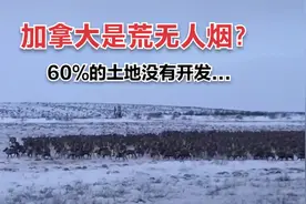 加拿大国土面积世界第二，为什么60%土地未开发？视频封面