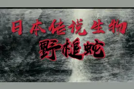 传说还是真实？日本明星UMA-野槌蛇。视频封面
