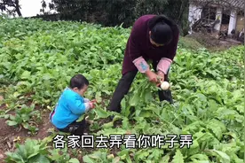 燕子想吃萝卜干，婆婆妈把地里萝卜扯回盐一大盆，2岁宝宝争着吃视频封面