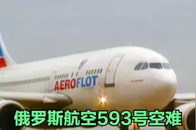 1994年俄罗斯593号航班空难事件，15岁孩子开飞机，75人全部罹难视频封面