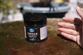 养花土壤活力不足？园艺师教你，用土壤活化剂，改善土壤贫瘠变硬视频封面