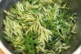 中医讲堂 | 艾草有，温经止血、散寒止痛、祛湿止痒之功效视频封面