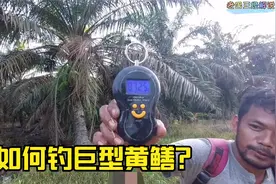 钓获1.5斤野生大黄鳝！这么详细的钓鳝教程，你确定不来学一学？视频封面