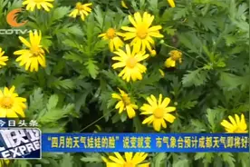 要入夏？“四月的天气娃娃的脸”说变就变，成都天气即将转折视频封面