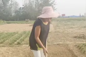 到了种韭菜的时候，农村大姐教你怎么种韭菜，让韭菜长的更好视频封面