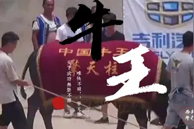 天下武功无坚不摧唯快不破中国牛王擎天柱，最后一战的历史影像视频封面
