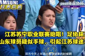 经典回顾：江苏苏宁职业联赛绝唱！足协杯决赛全华班不敌山东鲁能视频封面