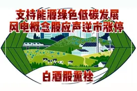 支持能源绿色低碳发展 风电概念股应声逆市涨停  白酒股重挫