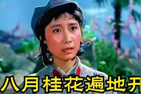 1985年：葛军《八月桂花遍地开》原始歌词，更贴近实际视频封面
