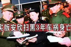 现实版没有靠山的安欣，出任公安局局长扫黑仅三年，突遭车祸身亡视频封面