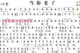 动态谱-当你老了视频封面