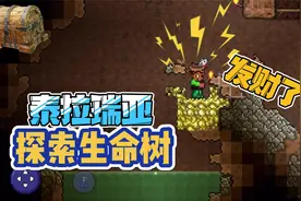 泰拉瑞亚：探索生命树，开宝箱挖金矿！结果手滑误入深湖