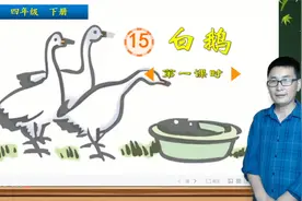 四年级下册语文《15.白鹅》第1课时，学习课文，打好语文学习基础视频封面