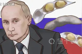 93%大豆出口至中国！传俄罗斯将对大豆收税20%，费用达100美元/吨视频封面