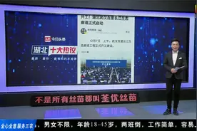 正式启动！总长170公里，湖北武汉百里长江生态廊道工程开工建设视频封面