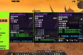 魔兽TBC怀旧服：P2阶段兽王猎懒人配装方案。强制别人bis党，呸！视频封面