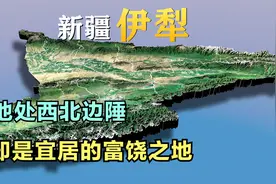 伊犁也许是新疆乃至西北地区最宜居的地方，3D地形展现绝美风光视频封面