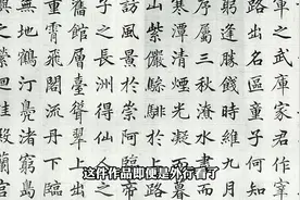 清代一位秀才的书法，深得“二王”遗风，足以让当代写丑书的汗颜视频封面