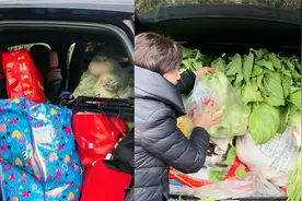 儿媳年后返家被公婆的菜塞满后备箱，打开一看惊呆网友视频封面