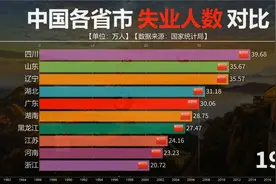 不可思议，中国青年失业率为20%！各省市历年失业人数又有多少？视频封面