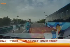 甘肃武威：行人横过机动车道  司机未减速酿事故视频封面