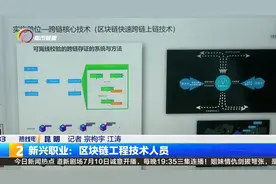 新兴职业：区块链工程技术人员视频封面
