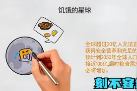世界粮食日 我国每年浪费粮食竟有700亿！全球还有3.2亿饥饿人口视频封面