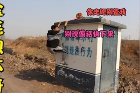 金毛嫌弃身上染料丑想不开，小亮苦苦相劝，怎么才能洗掉身上染料视频封面