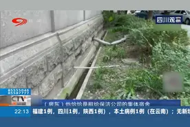 地下室成集体宿舍，房东阻拦采访，还对女记者接连打拳视频封面