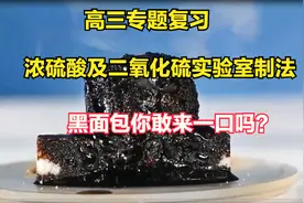 高考专题复习——浓硫酸及实验室制取二氧化硫