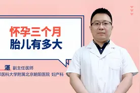 怀孕三个月胎儿有多大