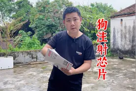 狗狗芯片是干嘛的？有什么用？十年训犬师讲解其中奥秘视频封面