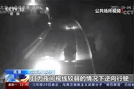 高度白酒喝一宿 倒车逆行闪远光 “梦游男”将大货开上高速后睡着视频封面