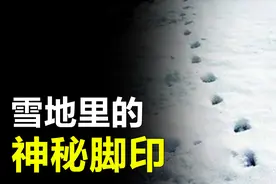 雪地里出现神秘的脚印，科学家却找不到来源，究竟是谁留下的？视频封面