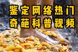 【鉴定】奇葩科普视频：日本每年进口800亿双筷子？视频封面