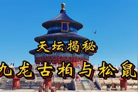 天坛比故宫大三倍，里面有千棵600年古柏，其中御封九龙柏是领袖