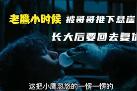 被哥哥推下悬崖，母亲放弃救援，被小孩养大后，回去复仇视频封面