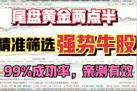 A股：少年股神悟出来的尾盘30分钟擒牛技巧，几个要点定涨跌视频封面