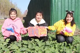 老师的菜地被践踏，胖妞用粘土做“请勿践踏”警示牌，超级实用视频封面