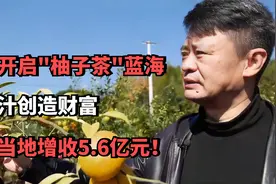 大叔开启"柚子茶"蓝海，双柚汁创造财富，带动当地增收5.6亿元！视频封面