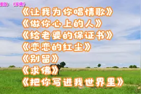 让我为你唱情歌，做你心上的人，给老婆的保证书，恋恋的红尘视频封面
