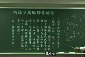 人纪-《伤寒论12-字幕版》-倪海厦（DVD原版）视频封面