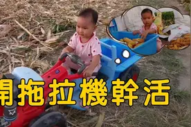 两岁宝宝开拖拉机拉玉米，自己装车自己开回家卸货，直夸孩子懂事视频封面