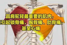 圆肩驼背最重要的肌肉，还引起锁骨痛、胸骨痛、肋骨痛，甚至心痛视频封面